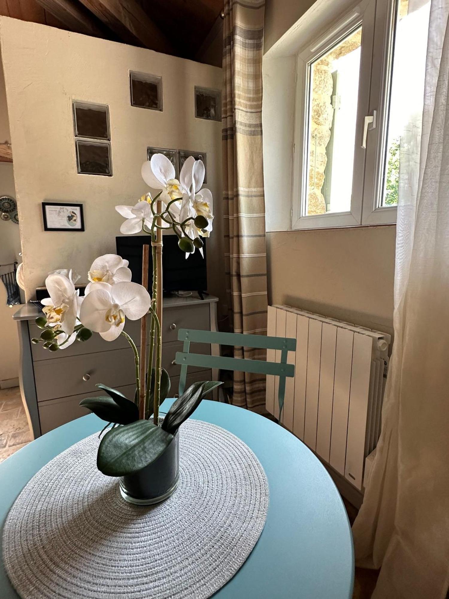 Maisonnette Independante Au Calme Dans Un Grand Jardin Châteauneuf-du-Rhône Eksteriør bilde