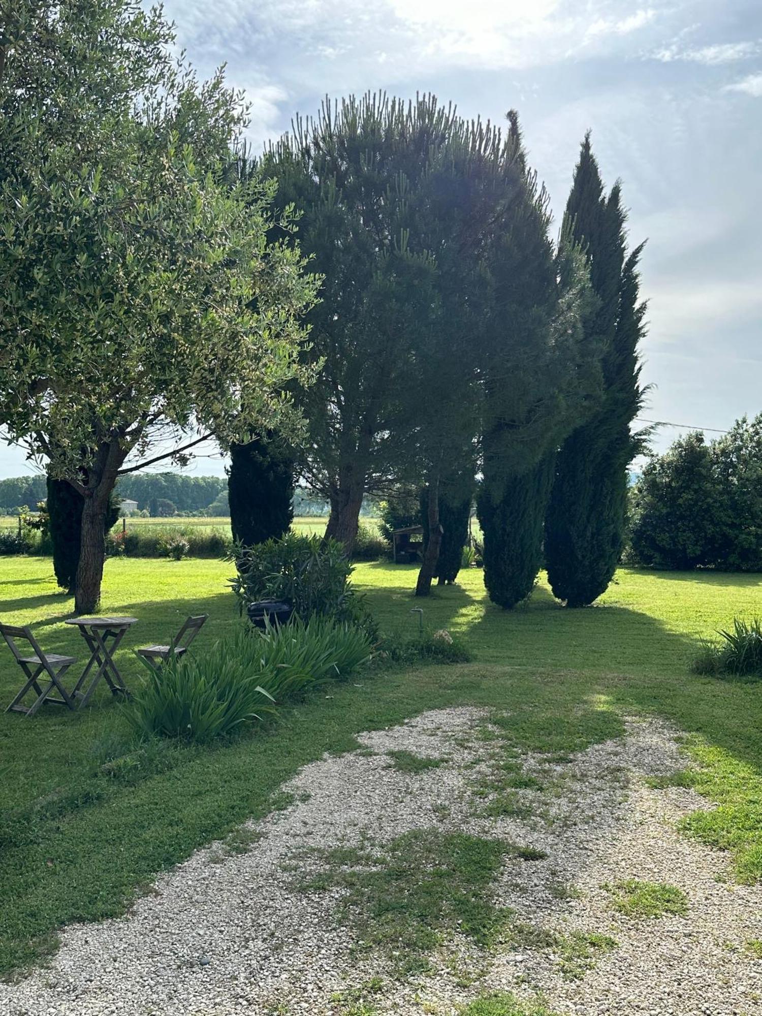 Maisonnette Independante Au Calme Dans Un Grand Jardin Châteauneuf-du-Rhône Eksteriør bilde