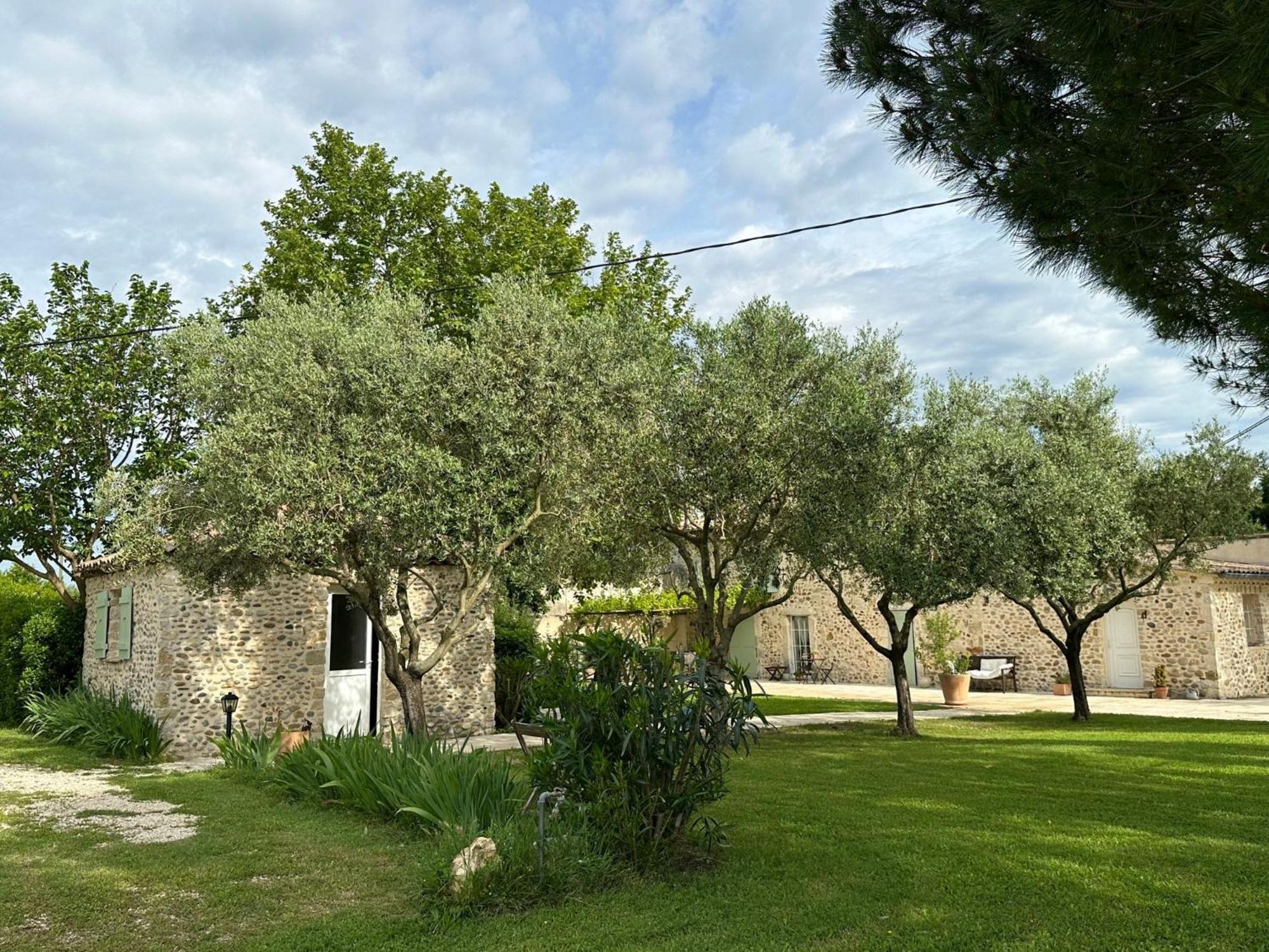 Maisonnette Independante Au Calme Dans Un Grand Jardin Châteauneuf-du-Rhône Eksteriør bilde